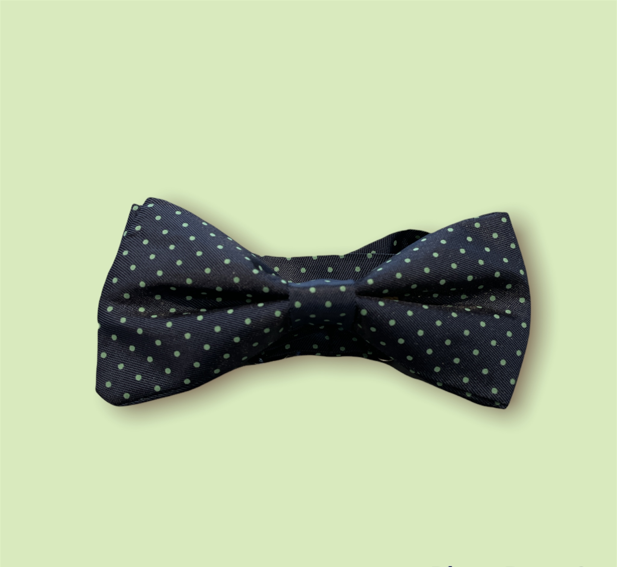 PhotoRoom_20220316_151502